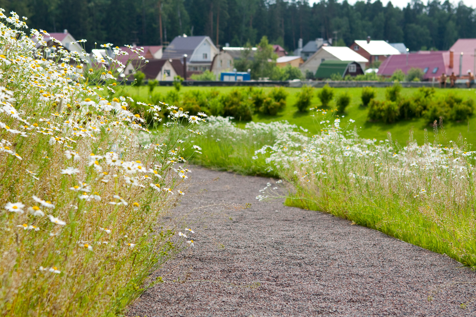 Маленькая Италия