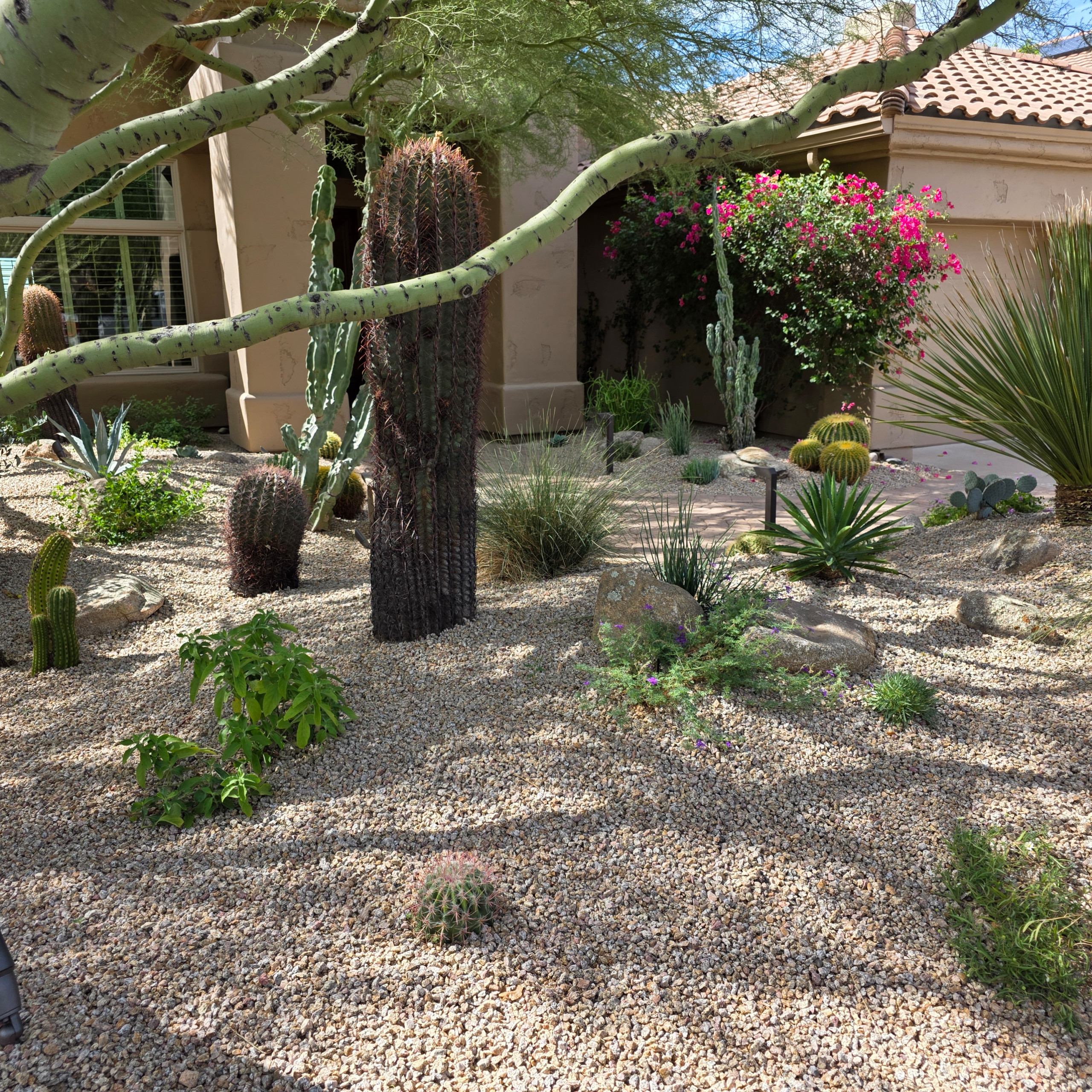 North Scottsdale - Canada Ridge
