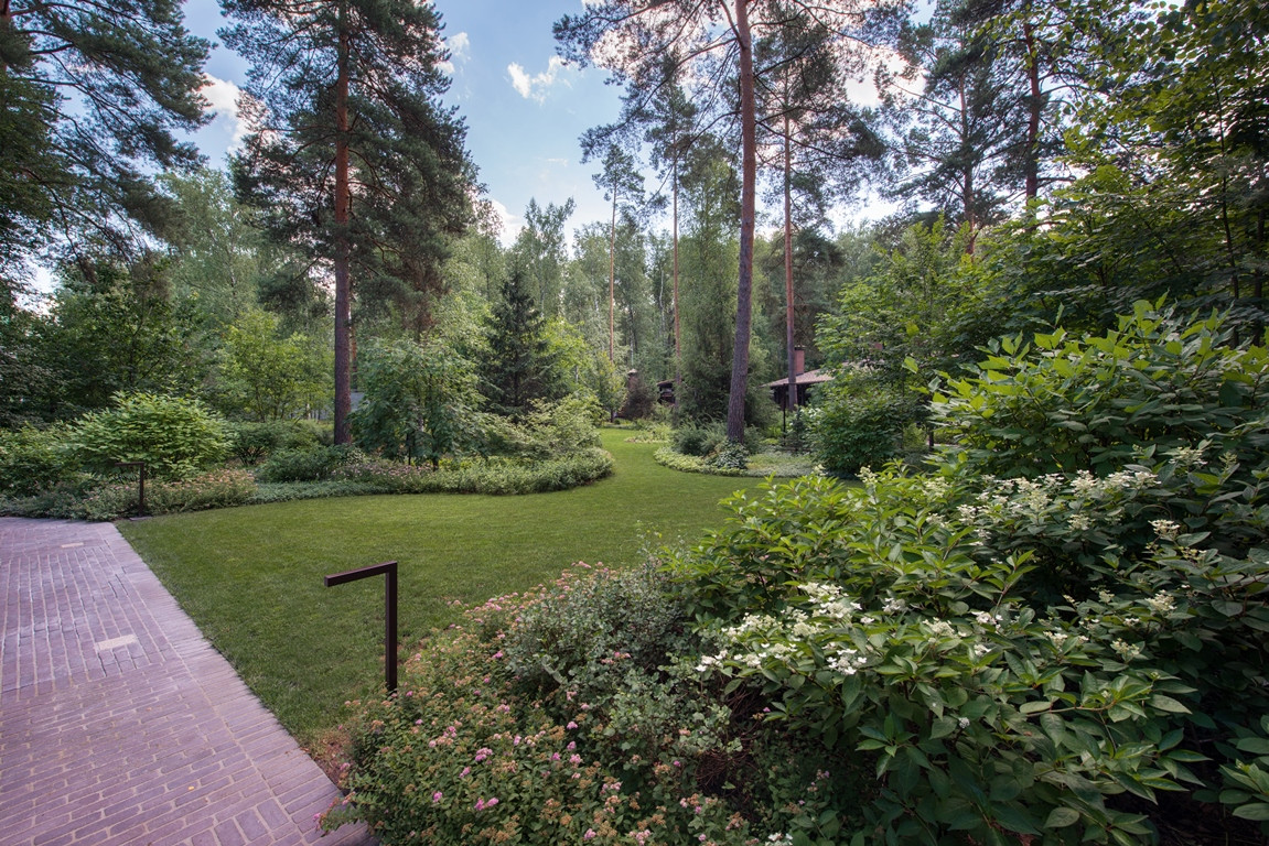 Лесная Рапсодия