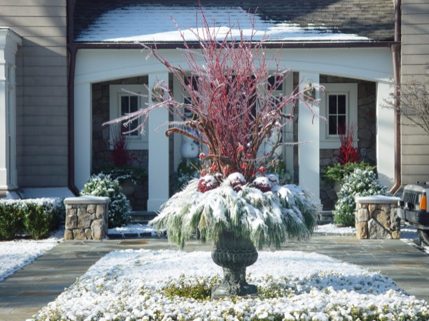 Potted Gardens