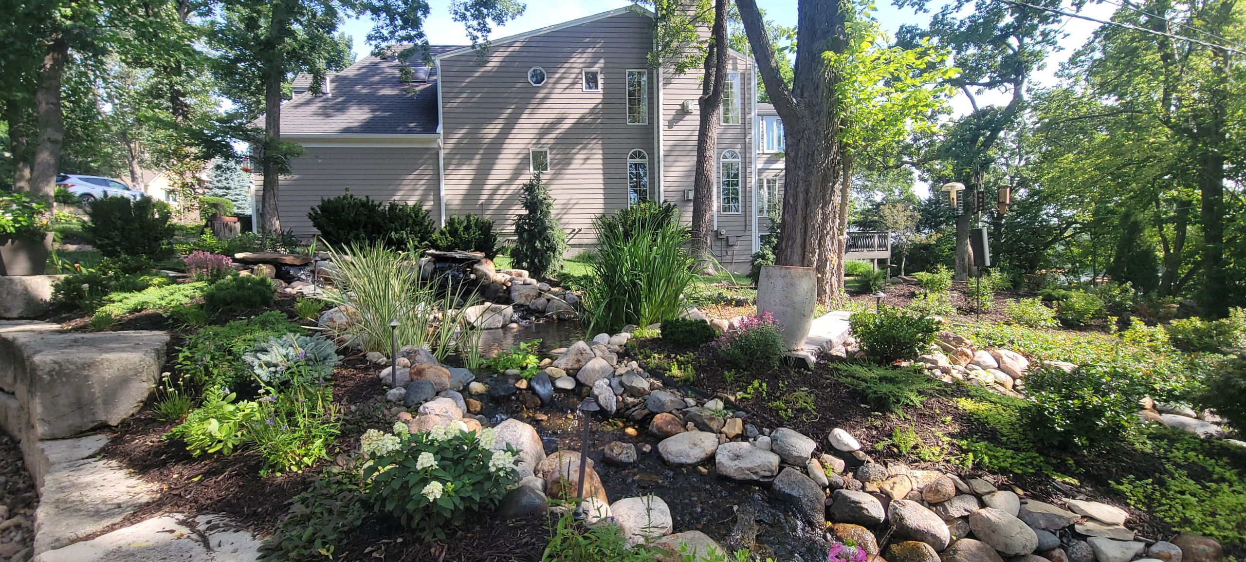 2025 Garden Highlights