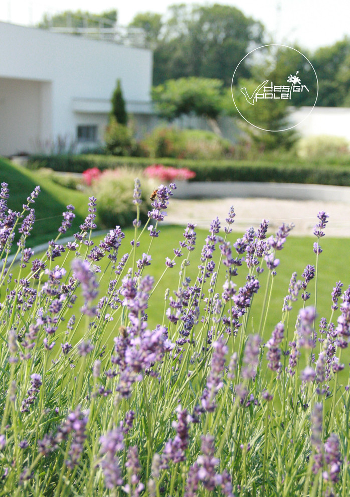 landscape design - Kirovskoe_Dnepropetrovsk region