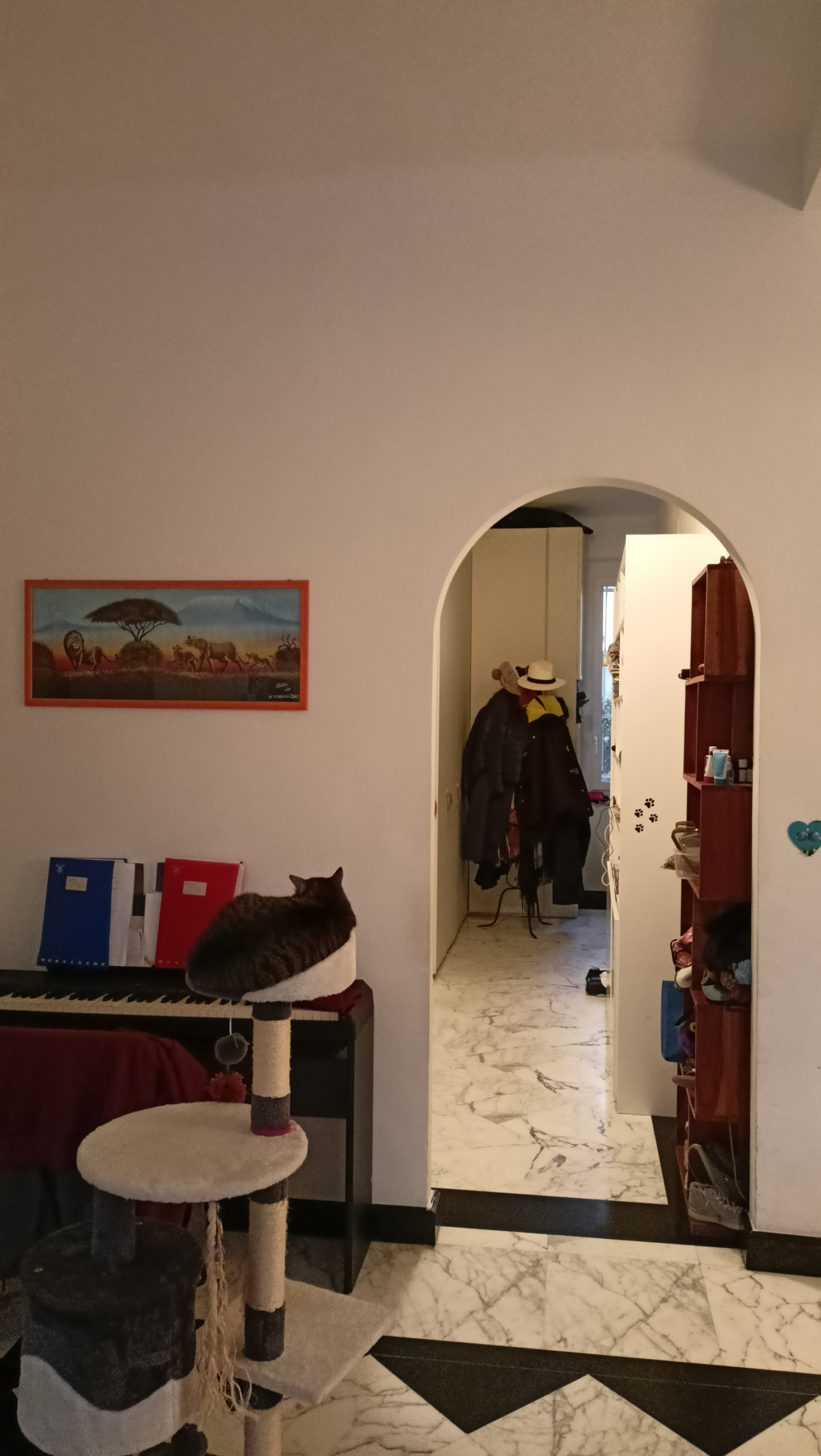 Foto del prima