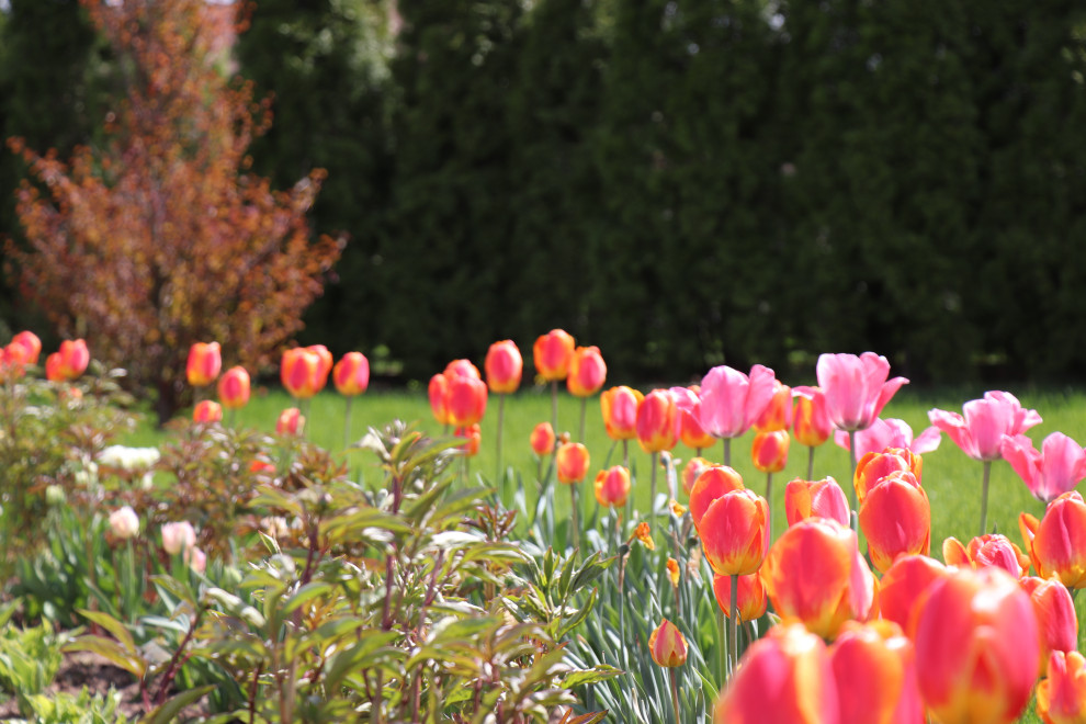 Весна 2020 Сосновые берега