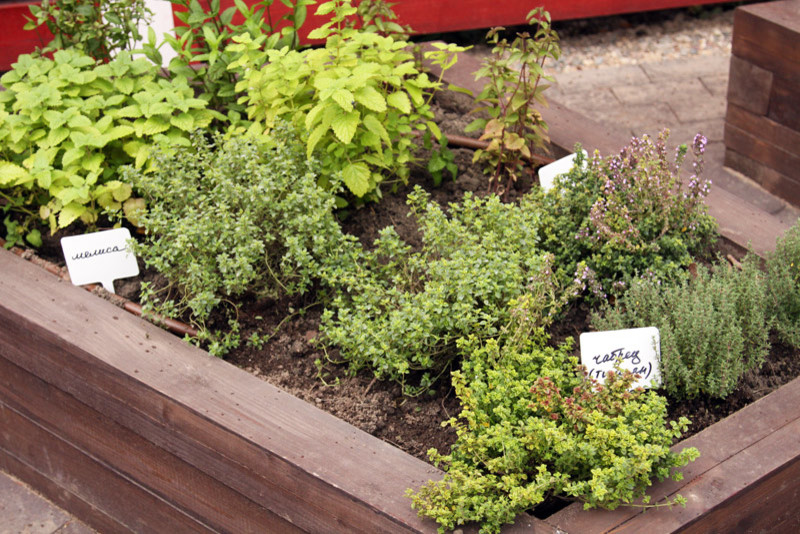 Нескучный сад