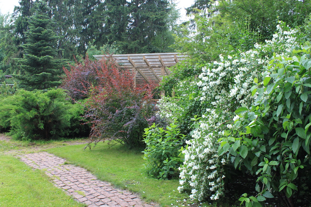 Лесная жизнь