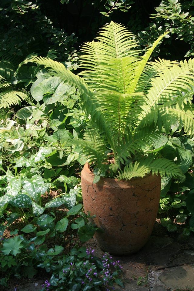 Ландшафтный дизайн