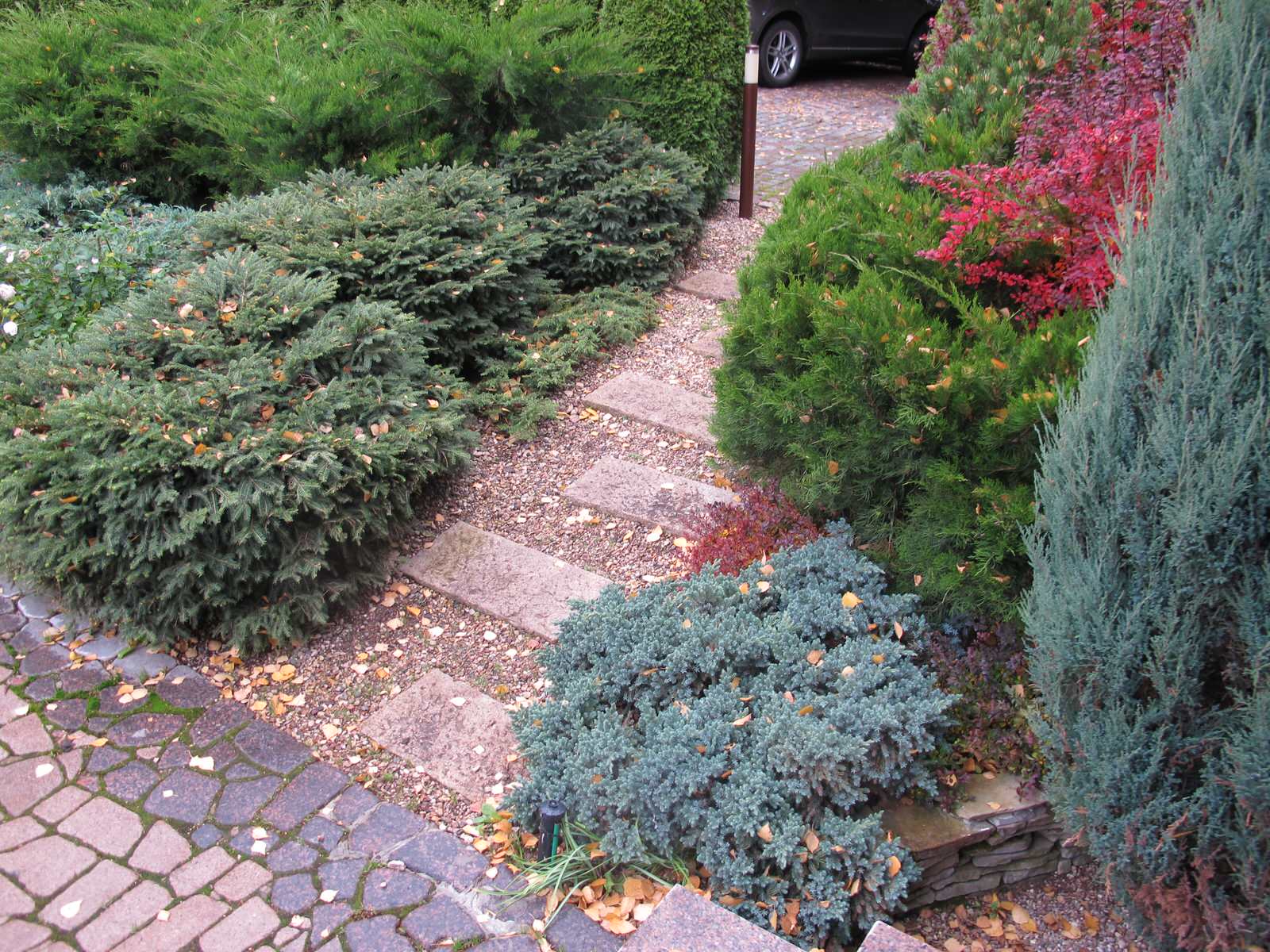 Сад Шехерезады в поселке Старбеево