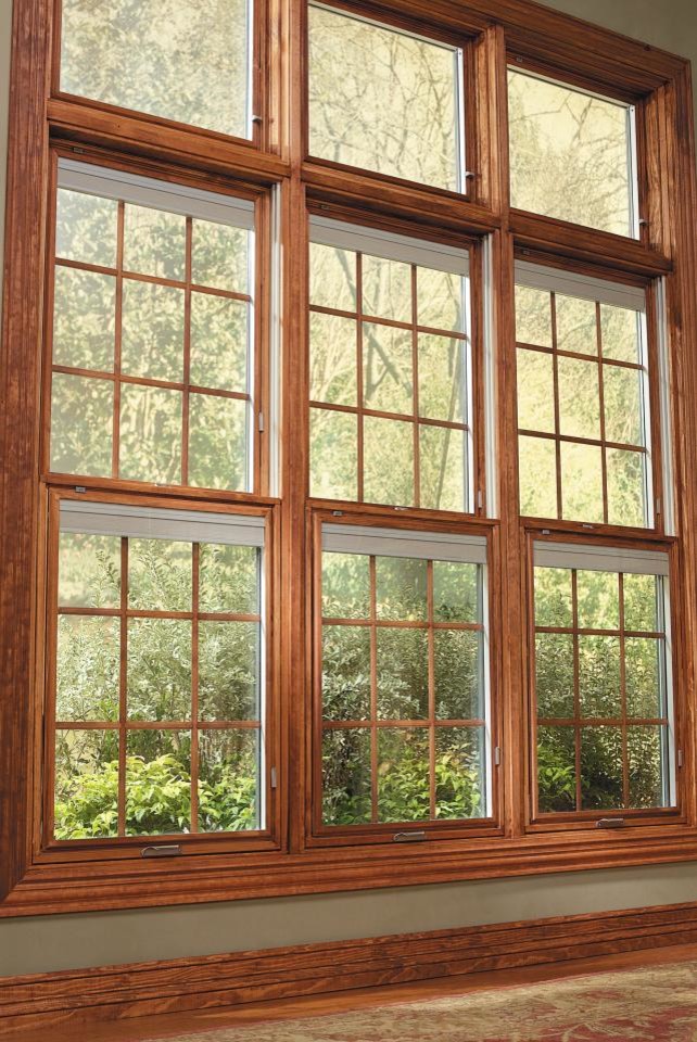 Pella® Designer Series® ENERGY STAR® qualified double hung windows Contemporary Cedar