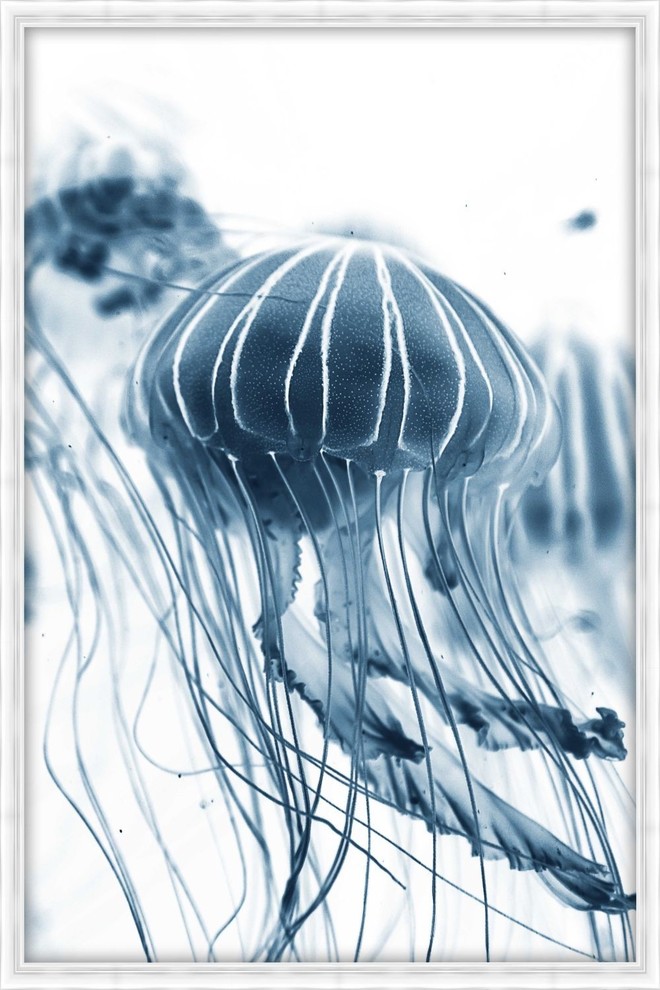 "Blue and white jellyfish", Decorative Wall Art, 61.75"x41.75"