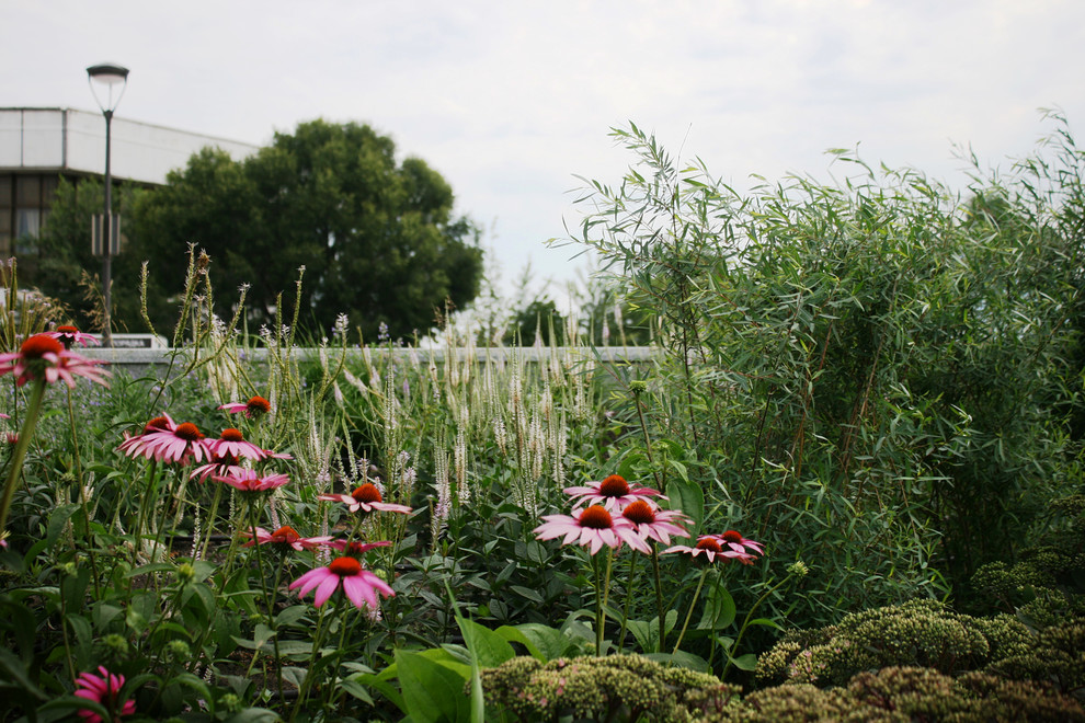 Цветники Советской площади