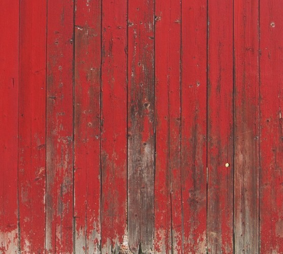 Red Barn Mural Wallpaper - Contemporary - Wallpaper - by Walls Republic