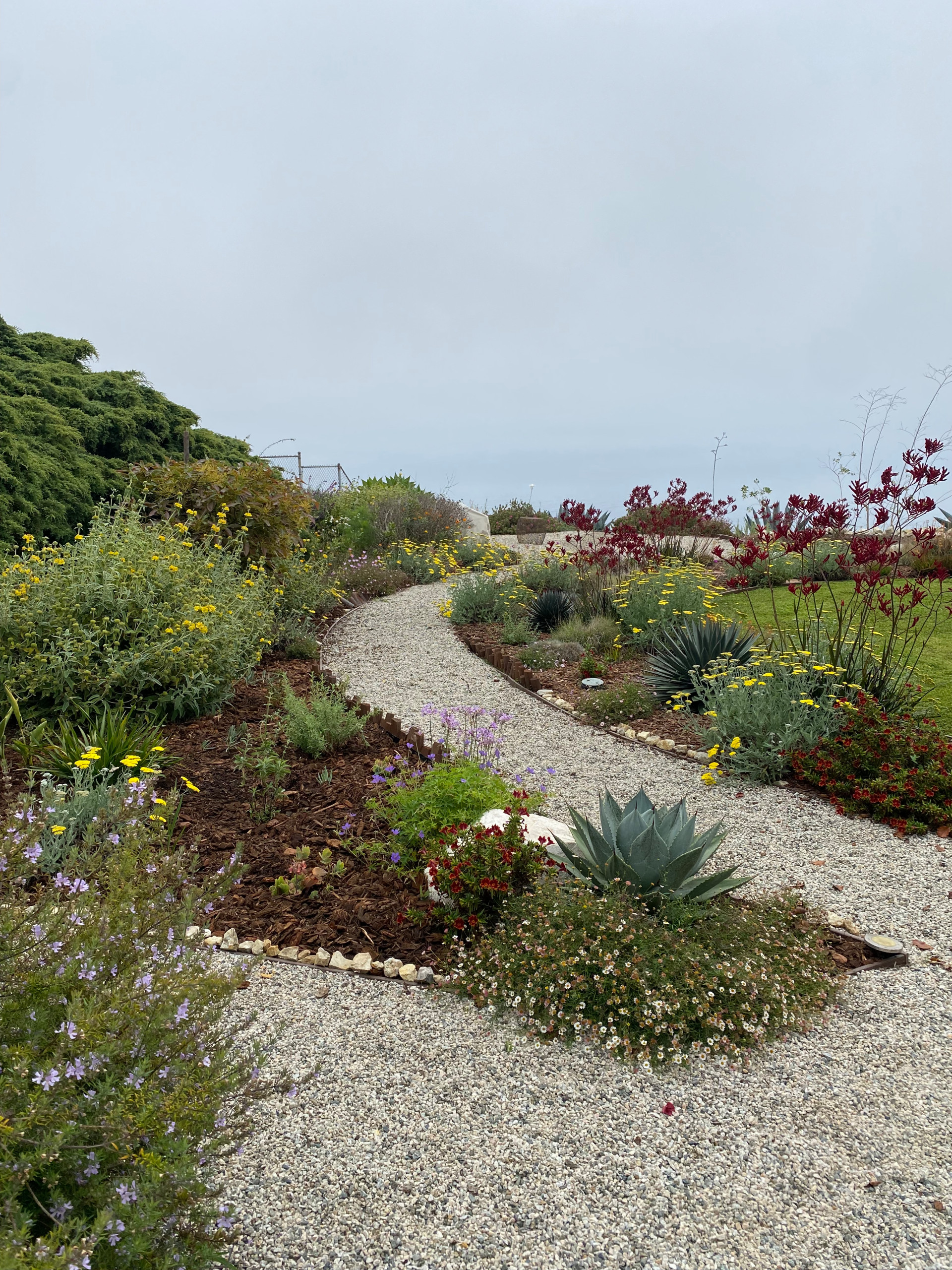 Rancho Palos Verdes, CA - Regenerative California Native Garden