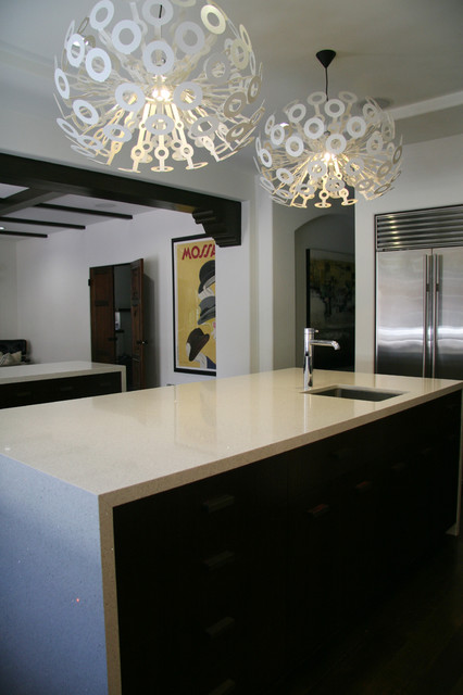 Burger Residence contemporary-kitchen