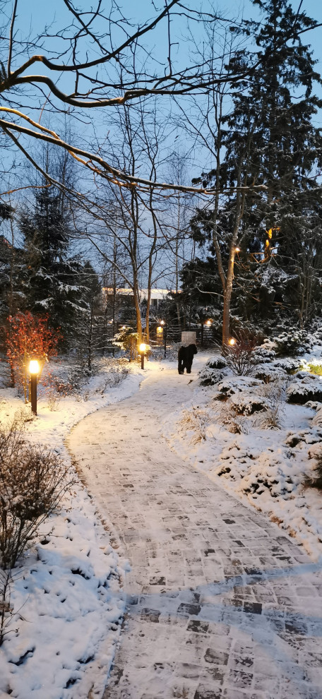 Лесное озеро