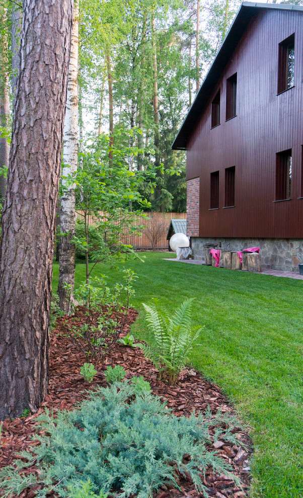 Дерево и Камень