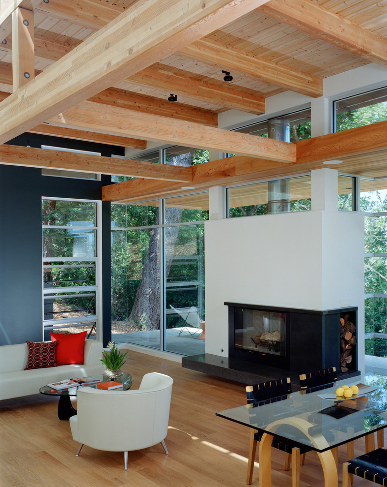 Mid-sized modern open concept living room in San Francisco with blue walls, light hardwood floors and a standard fireplace.