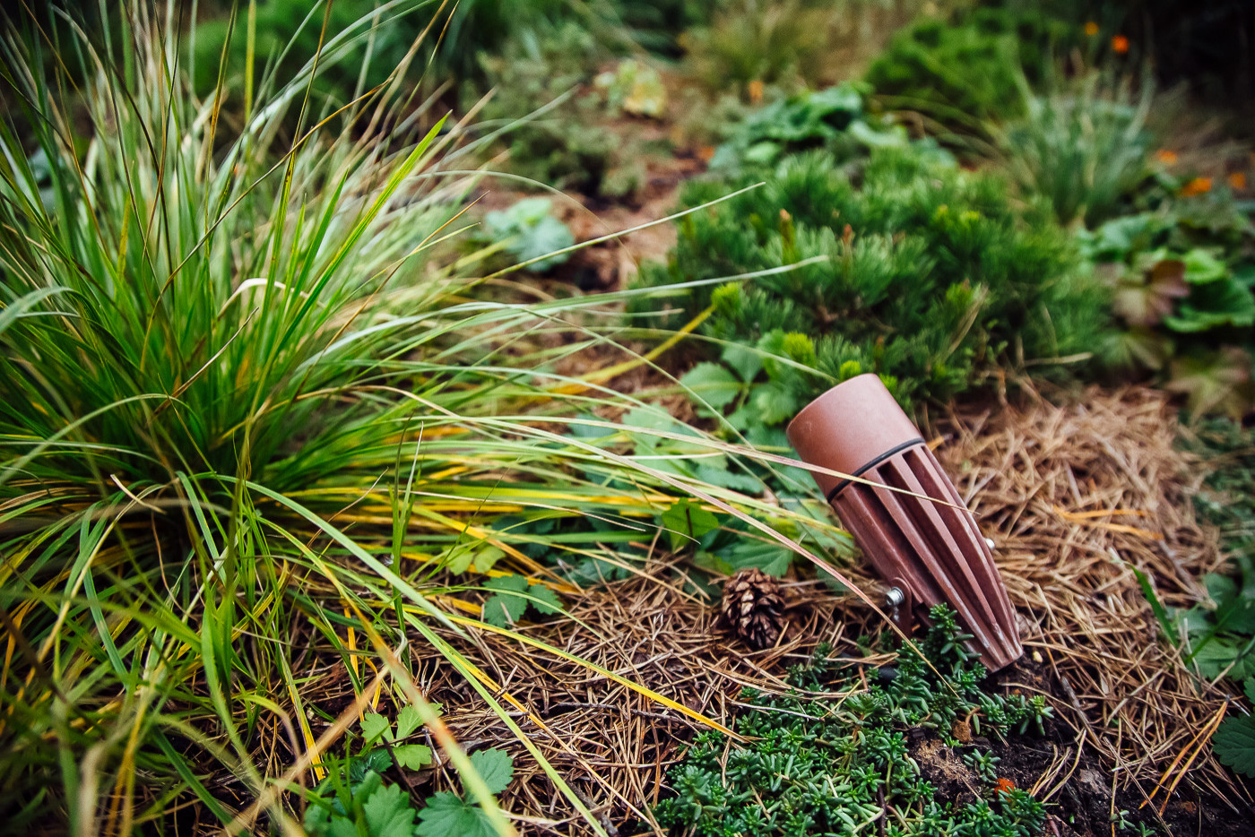 Хвойный переулок