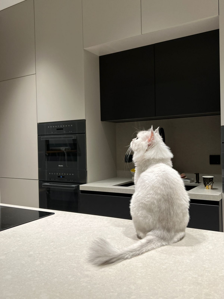 Мебель в московской квартире - продолжение