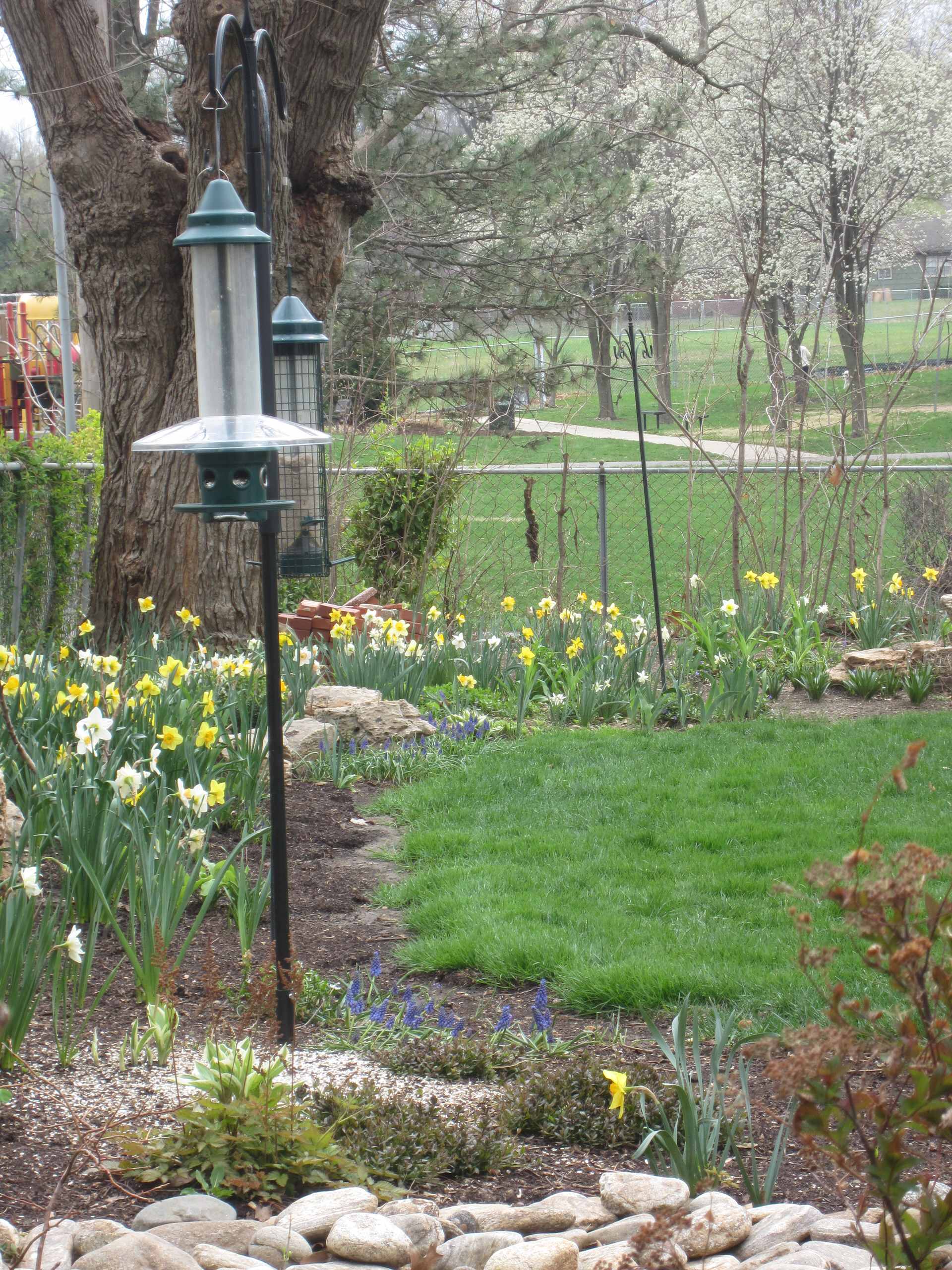 Spring Gardens