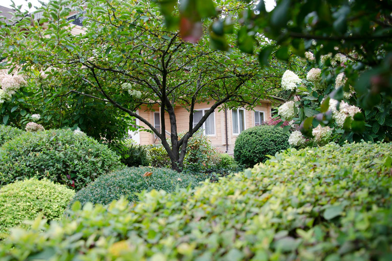 Ландшафтный сад КП "Новоглаголево", Киевское шоссе