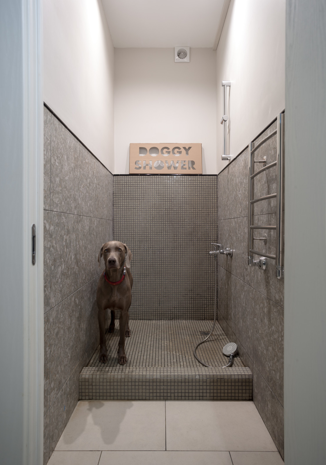 Дом с четырьмя лестницами