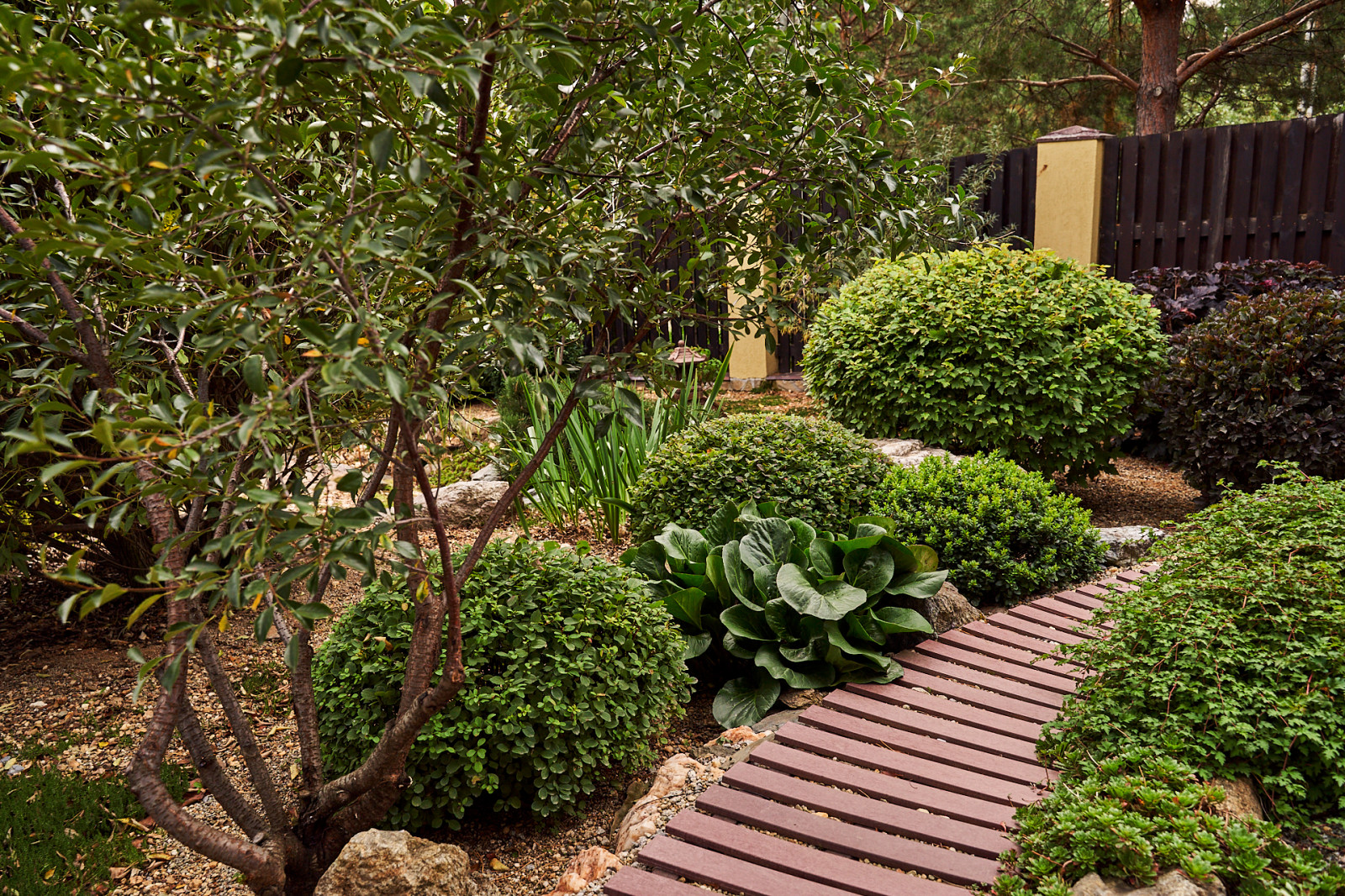 Японский садик "Живи,созерцая..."