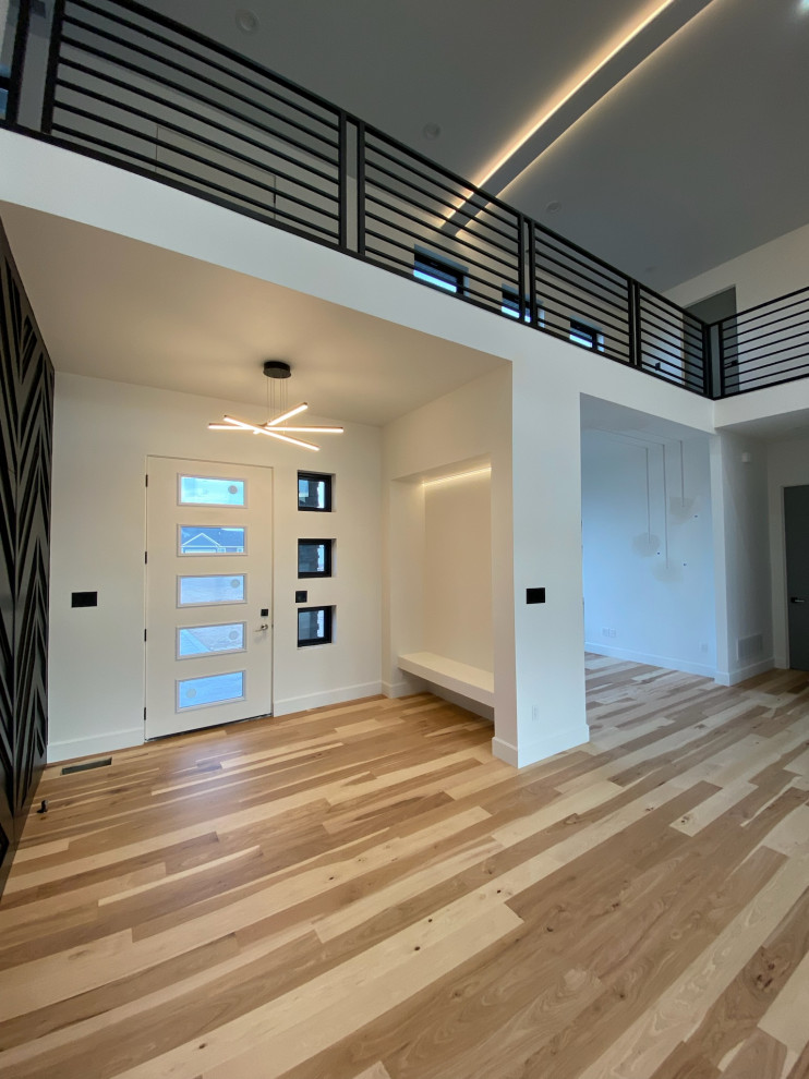 Entryway - modern entryway idea
