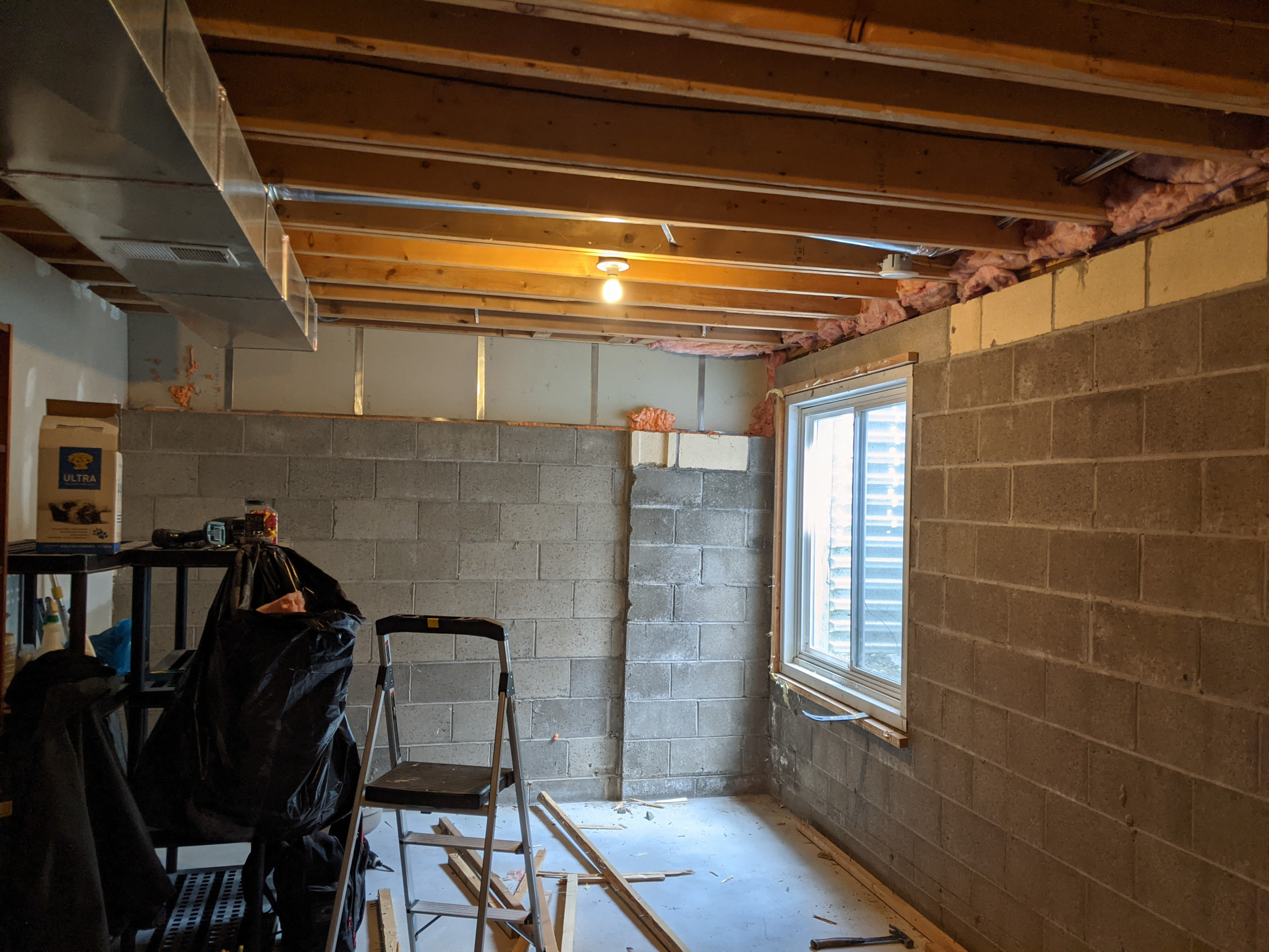 Basement Remodel