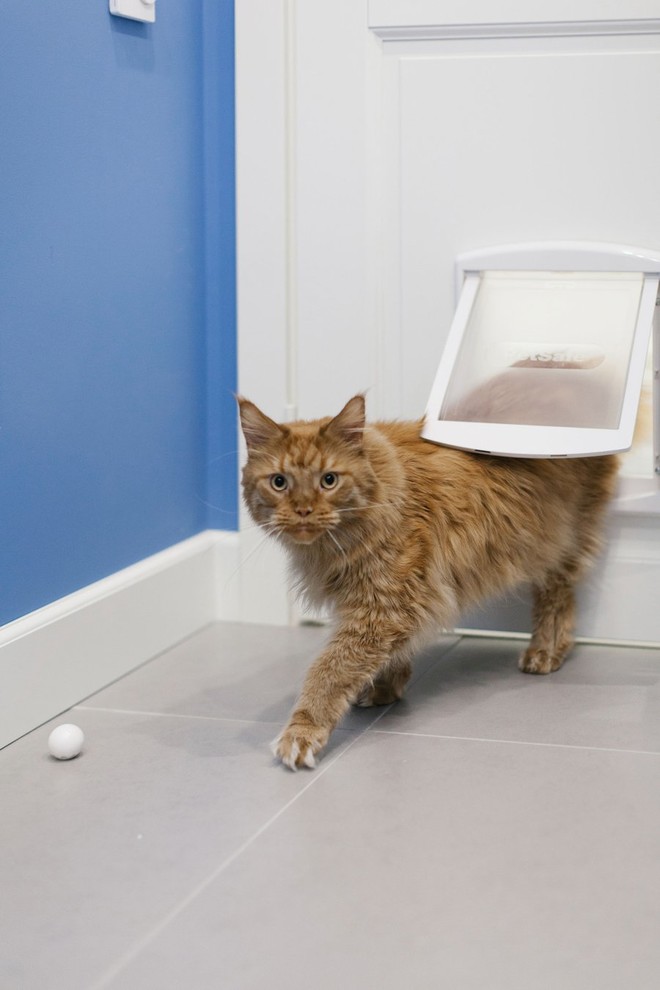 Жизнь в «Сделано» — трёхкомнатная  квартира на Медовой