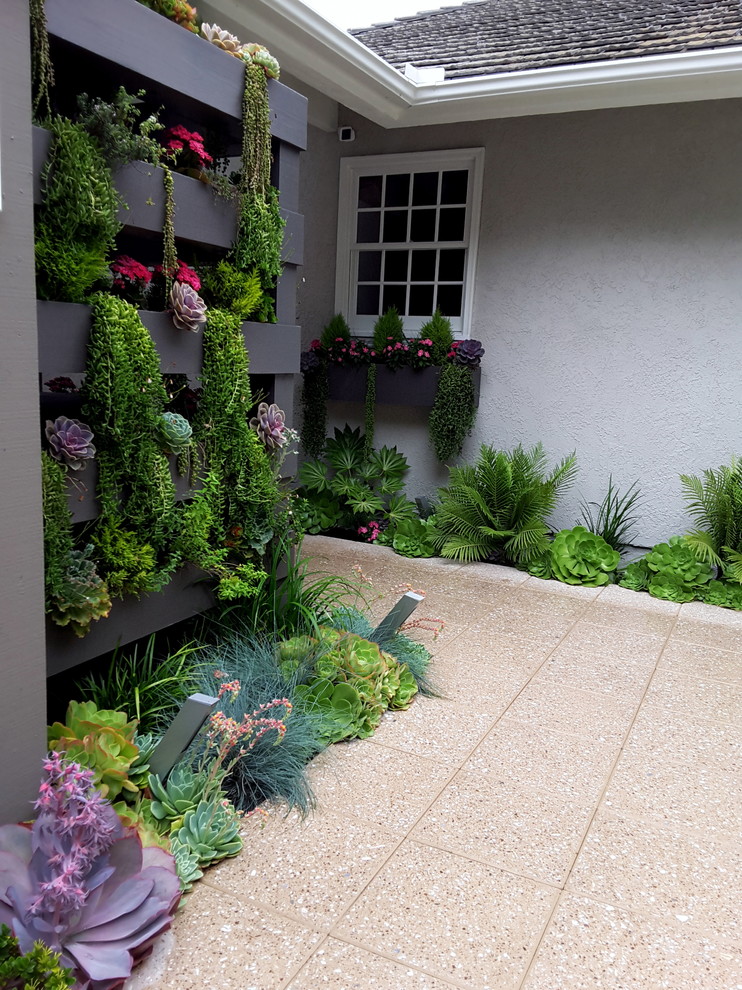 Design ideas for a small contemporary courtyard partial sun garden in Orange County with a vertical garden.