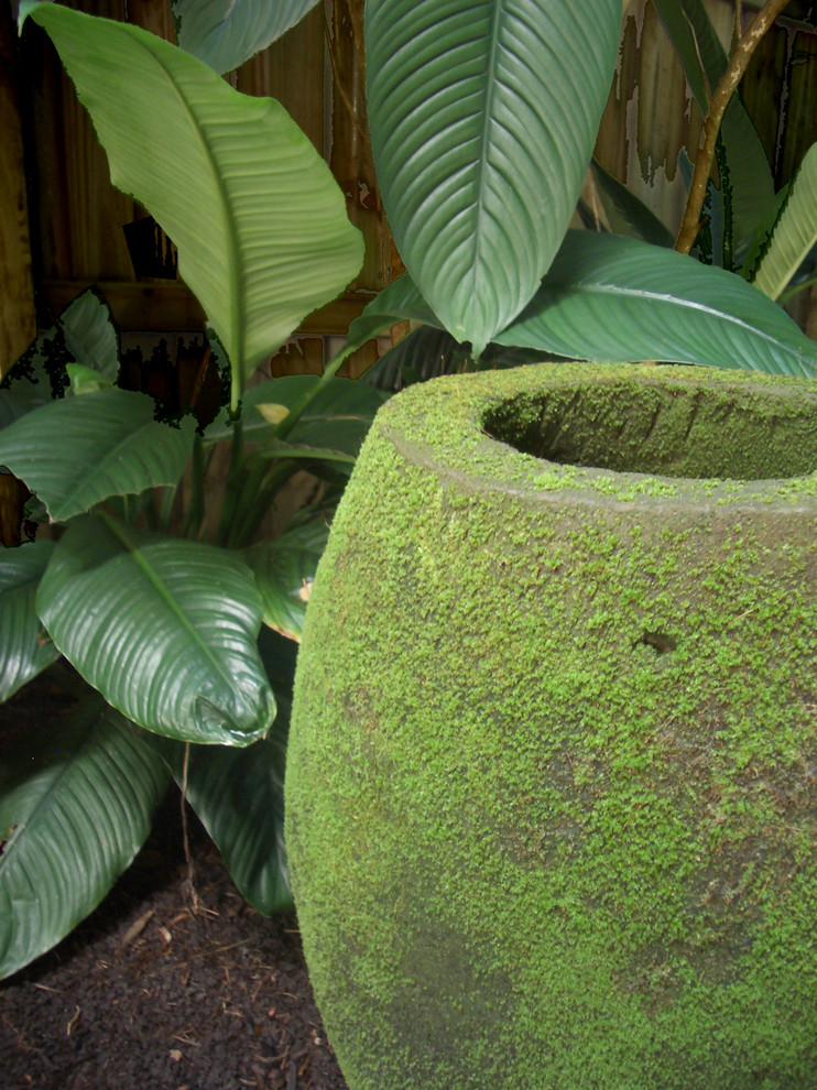 This is an example of a tropical courtyard partial sun garden for summer in Sunshine Coast with a water feature.