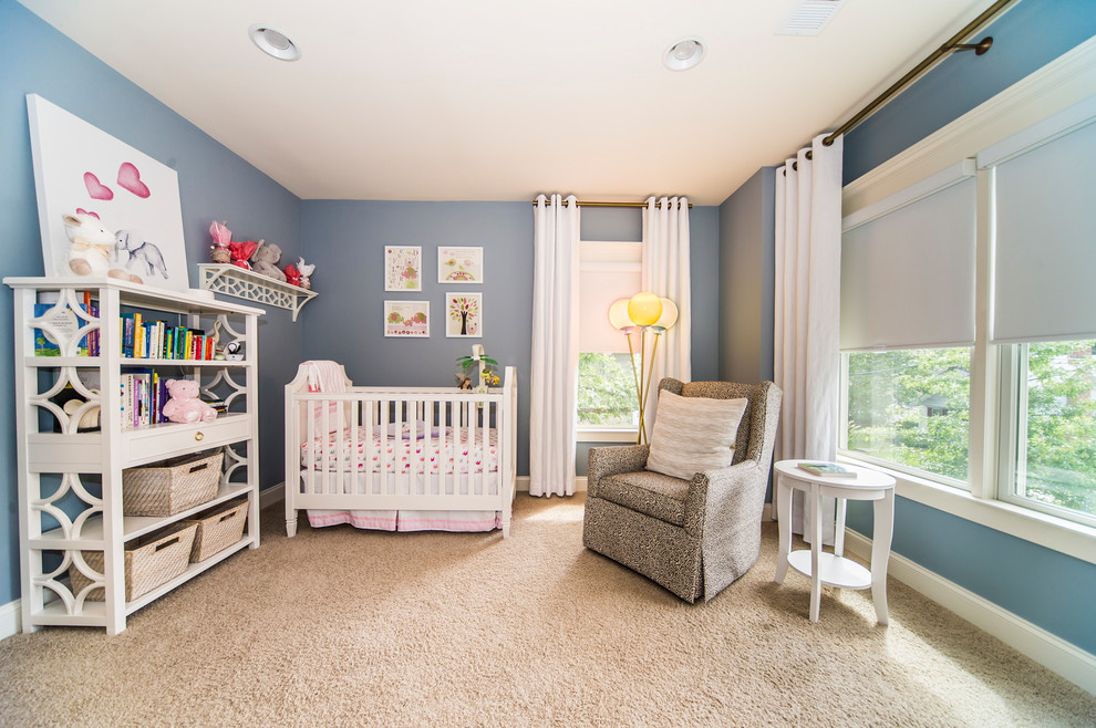 Design ideas for a transitional nursery in DC Metro.