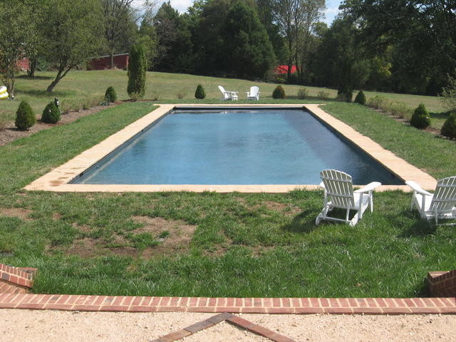 Example of a backyard concrete paver and rectangular lap pool design