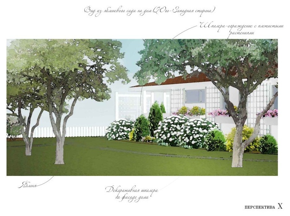 Легкий сад для Тихой Ладоги