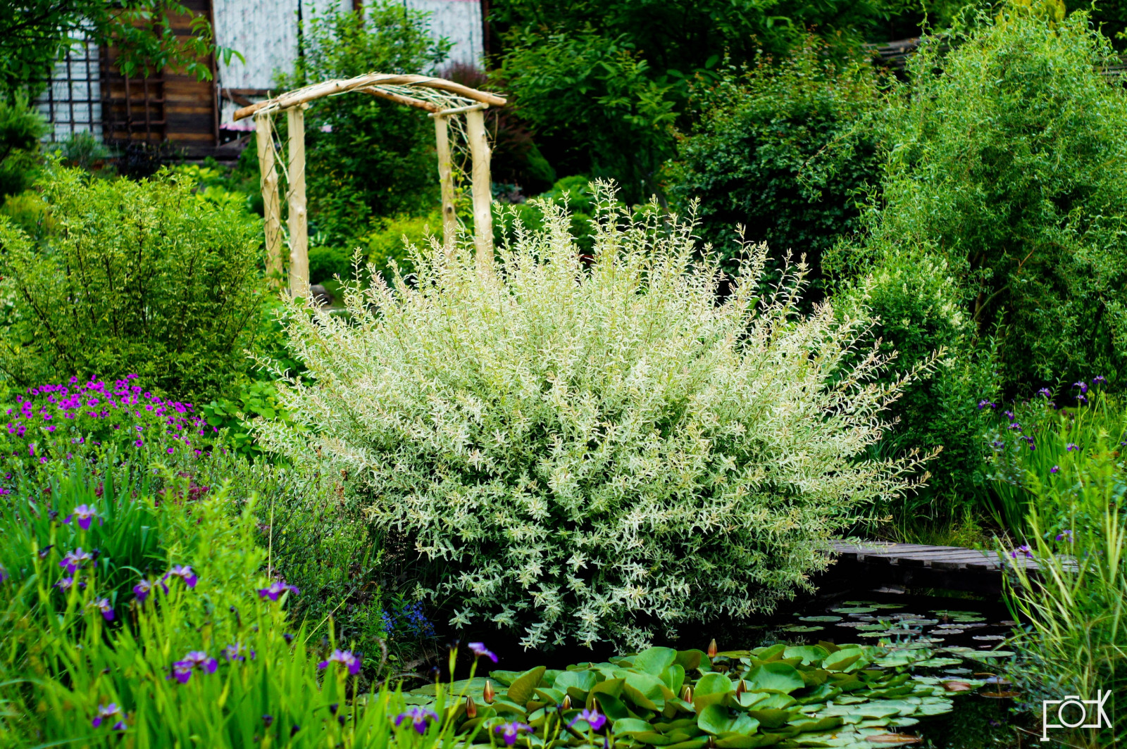 Гостевой сад Ландизайн