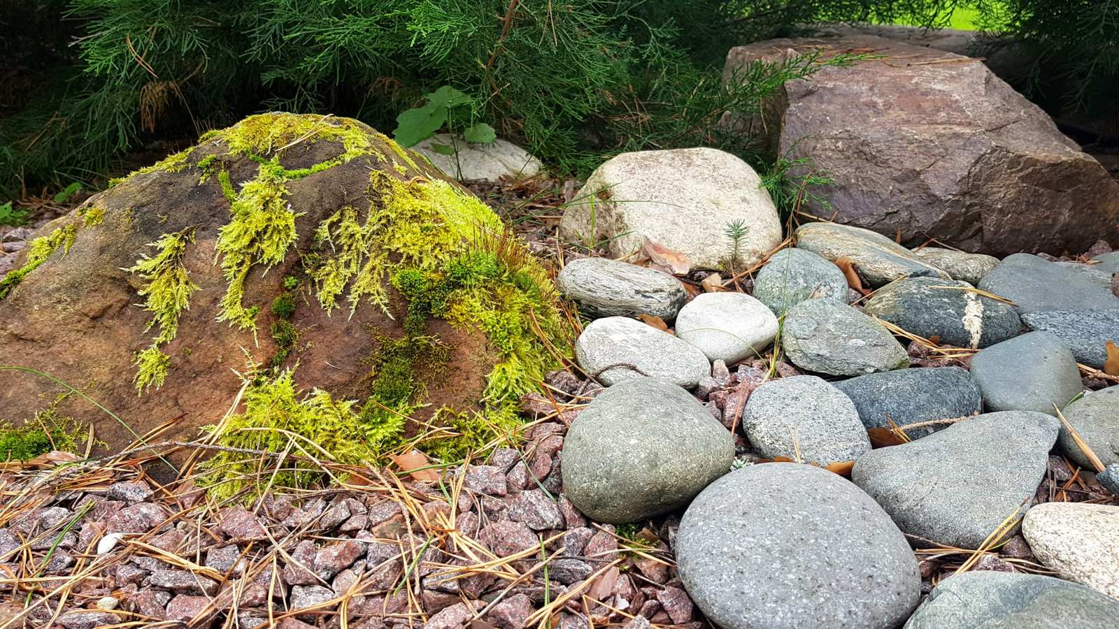 «Пряничный домик» в сосновом бору