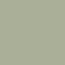 Paint Color SW 6178 Clary Sage from Sherwin-Williams