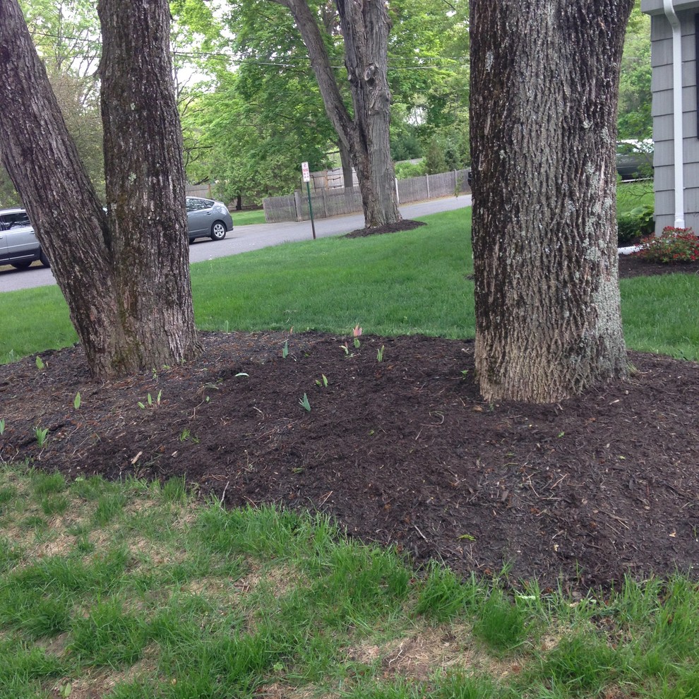 Bed between two trees hotsell