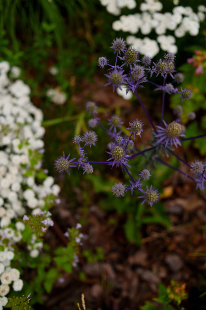 Сад с видом на Волгу