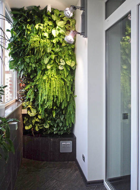 Фитоконструкция в Петербурге