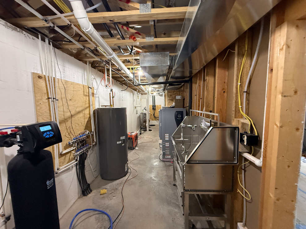 Basement - eclectic basement idea