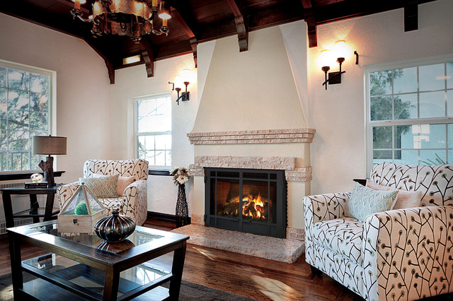 Mendota Hearth Fireplace Gallery traditional-living-room