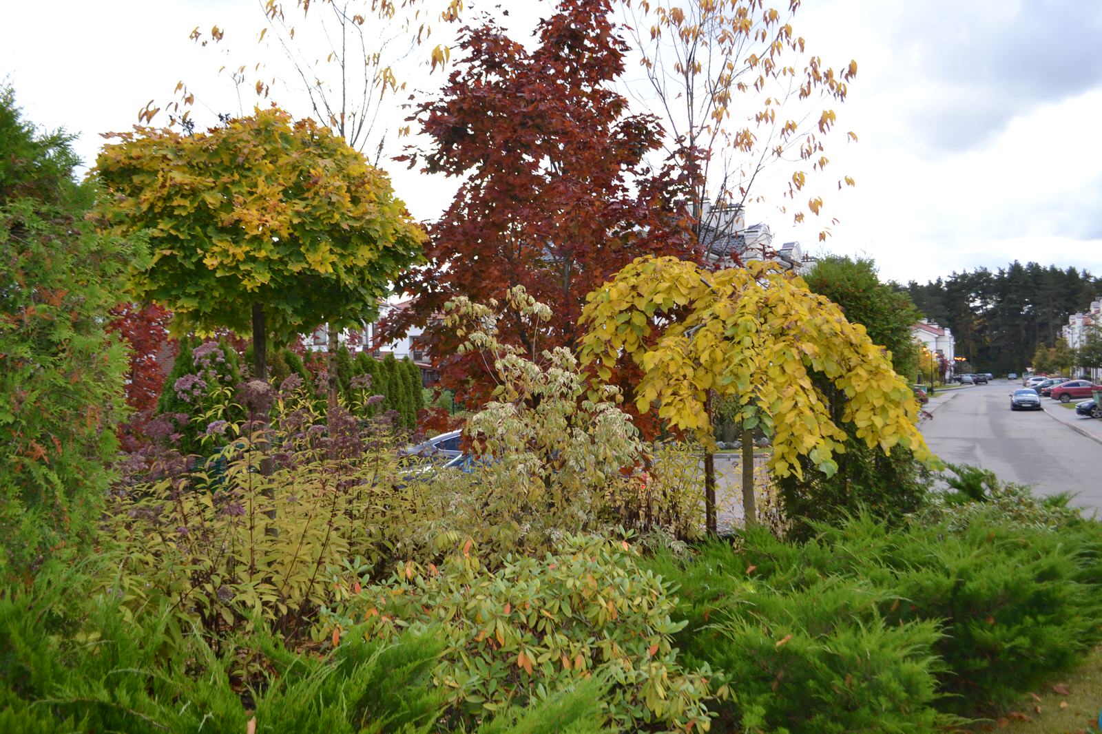 Жилищный комплекс "Суханово-Парк"