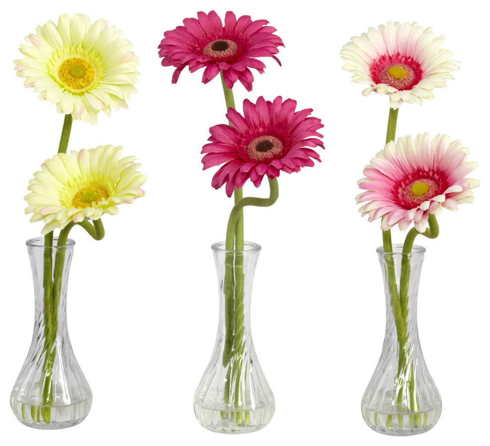 Gerber Daisy With Bud Vase, Set of 3