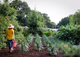 Simple Pleasures: Savor the First Spring Day in the Garden (11 photos)