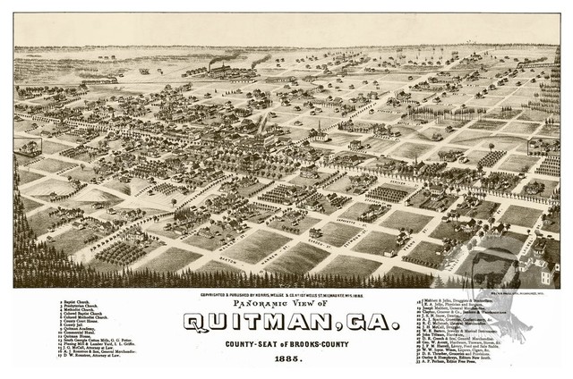 24x36 1885 Green Cove Springs Florida Vintage Old Panoramic City Map