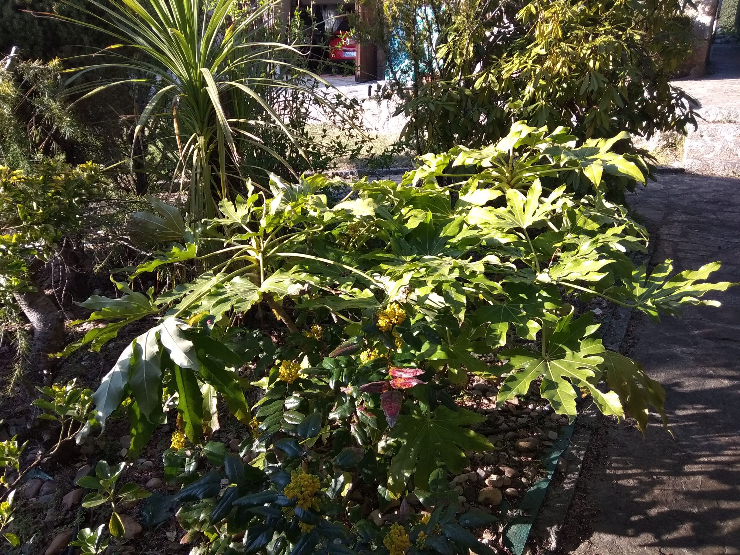 Jardín Zem en la montaña