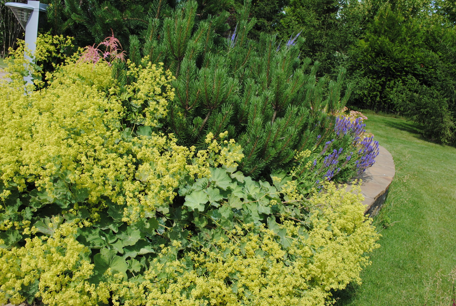 КП Графские пруды