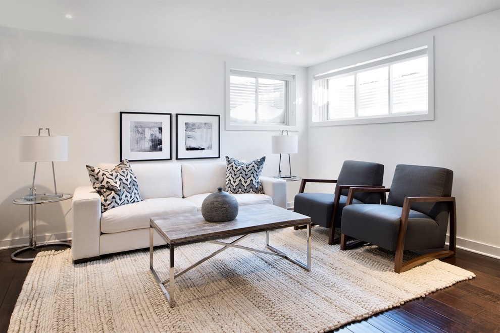 Basement - transitional underground dark wood floor basement idea in Ottawa with white walls